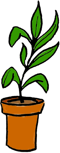 plant clipart green plant
