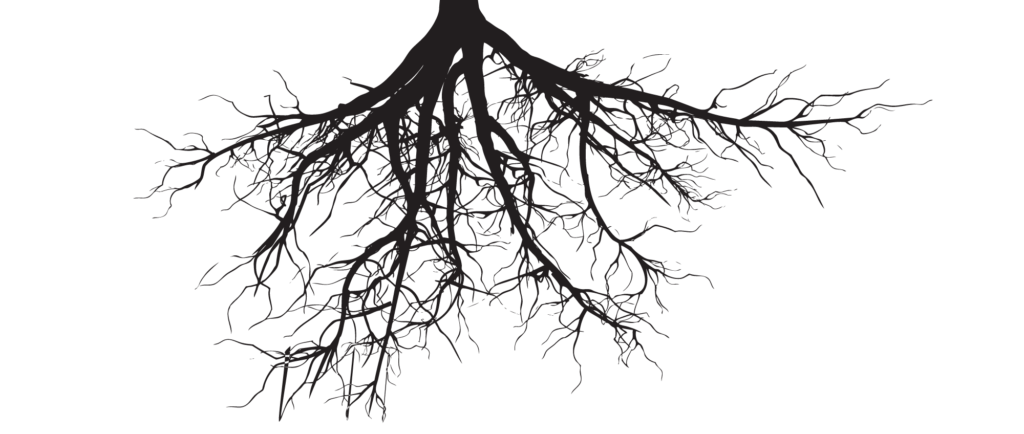 roots clipart tree with deep root