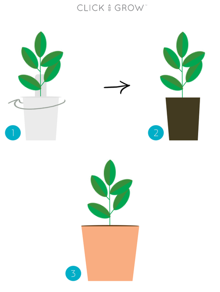 planting clipart simple plant