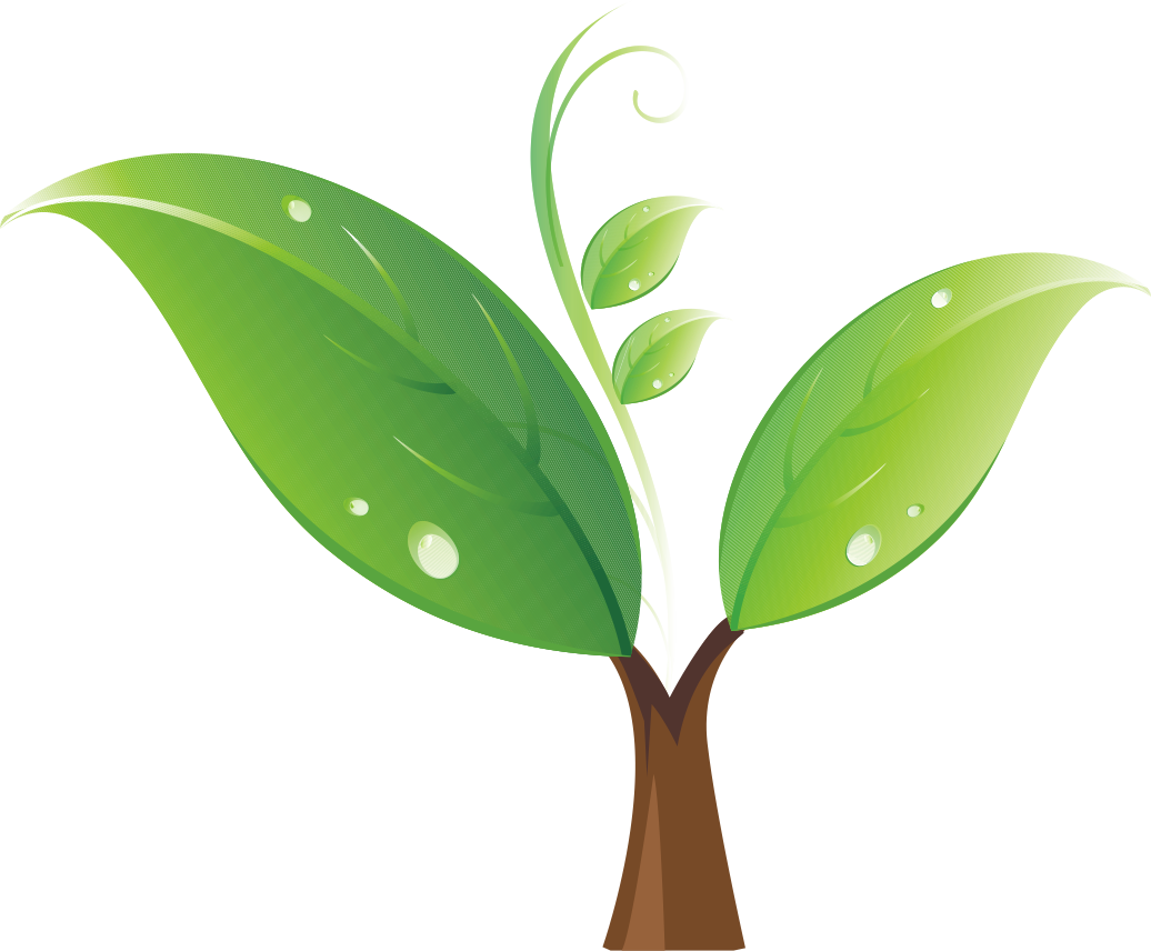 Planting clipart sprout. Seedling tree clip art