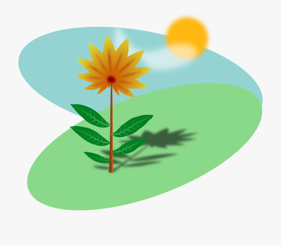 In free cliparts on. Planting clipart sunlight plant