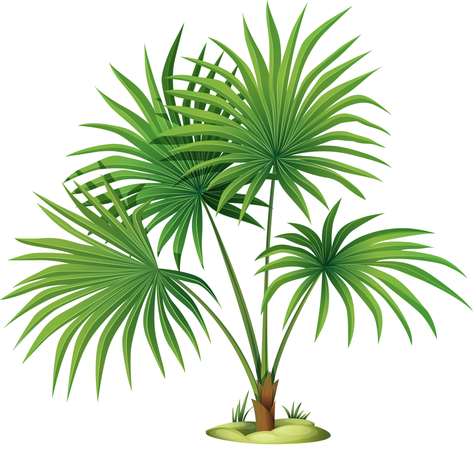 planting clipart terrestrial plant