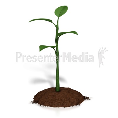 Planting clipart tiny plant. Small growth presentation great
