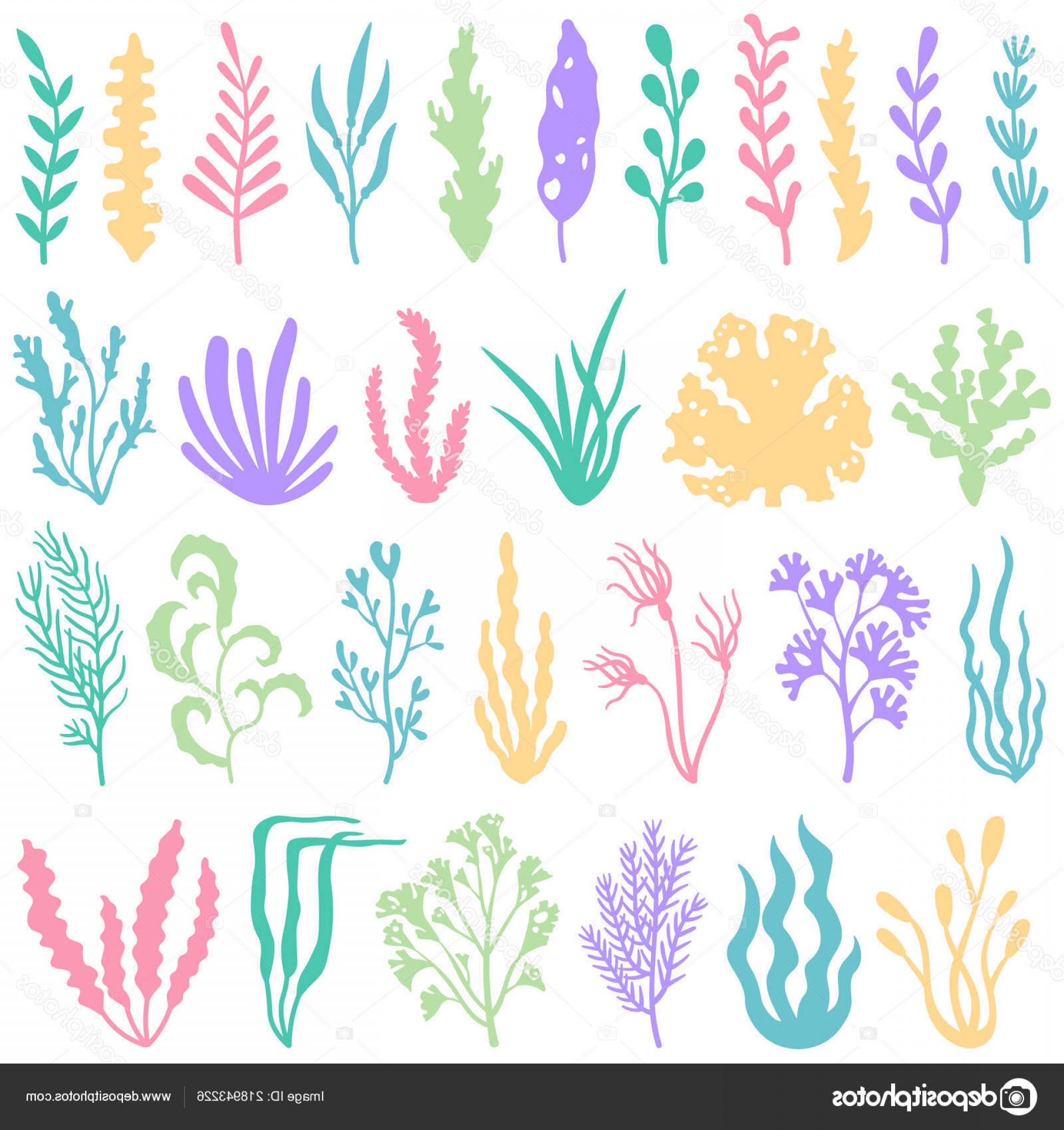 planting clipart underwater plant