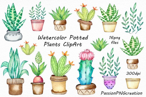 Plants clipart. Watercolor potted cactus pots