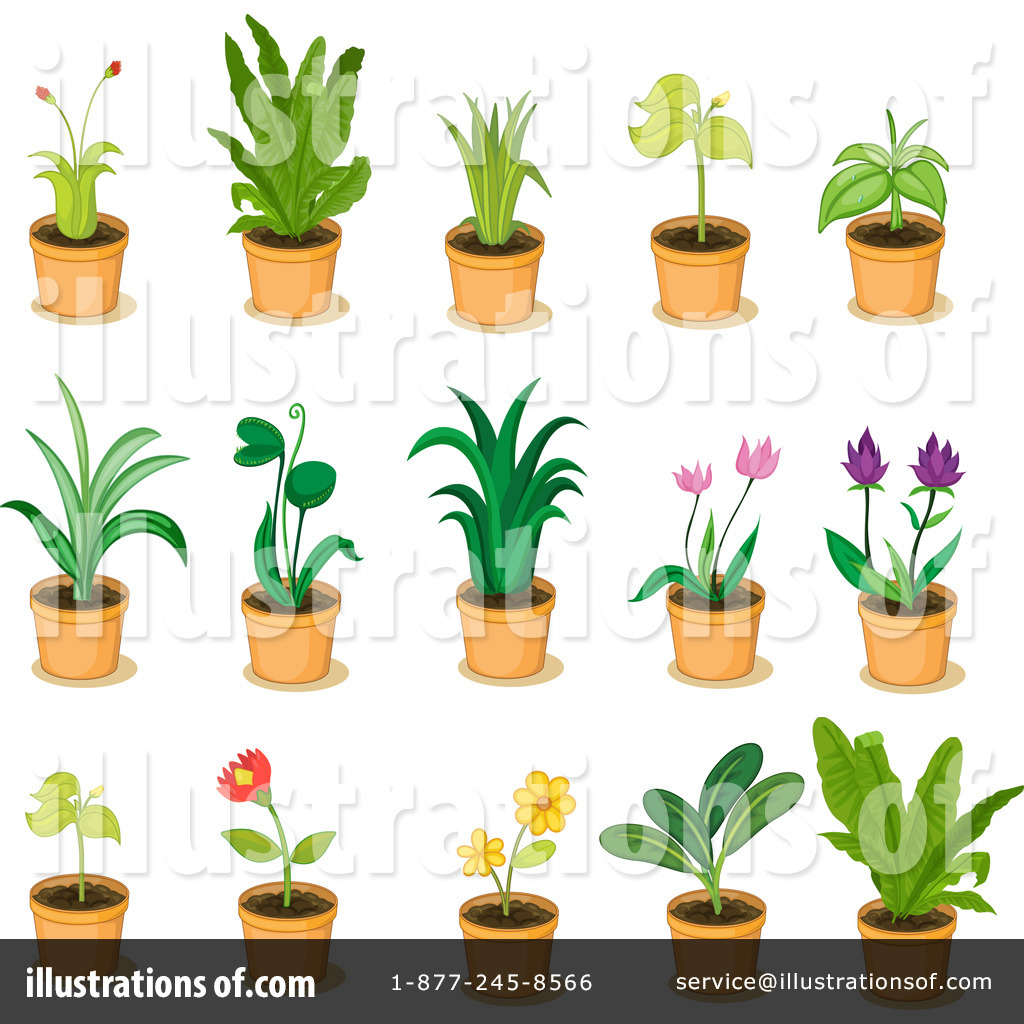 Plants clipart. Illustration by graphics rf