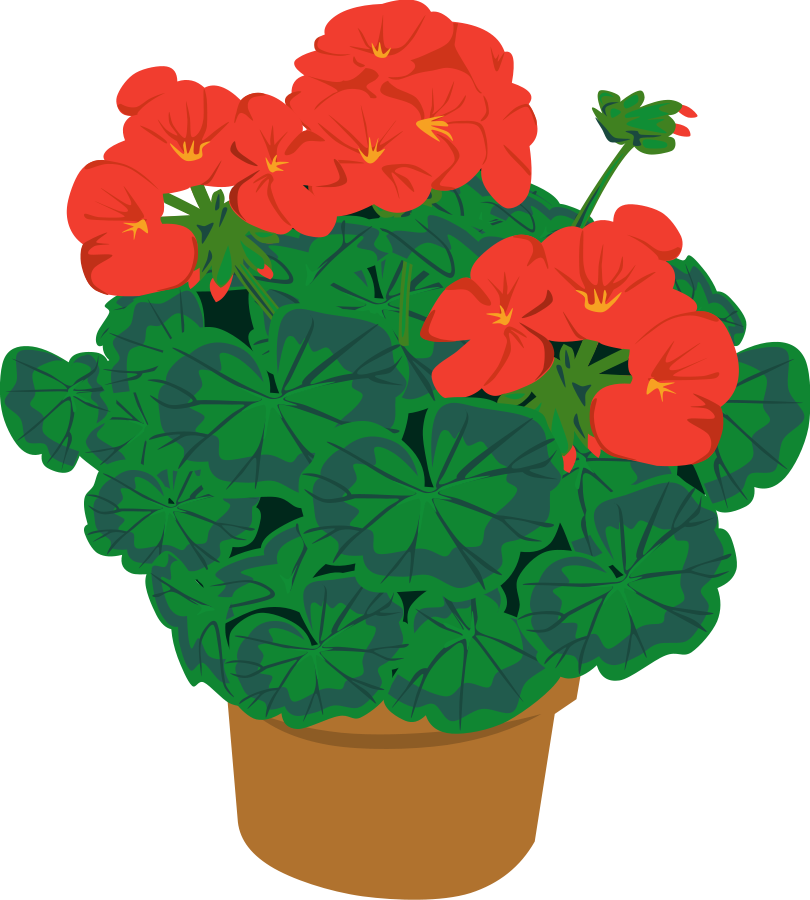 plants clipart animated