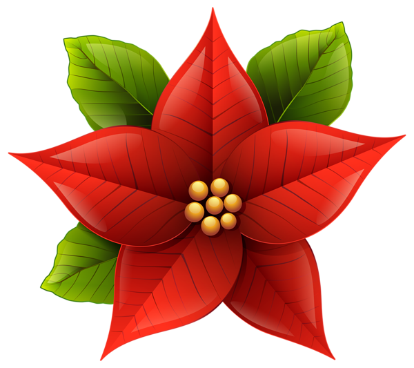  collection of poinsettia. Poinsettias clipart candel