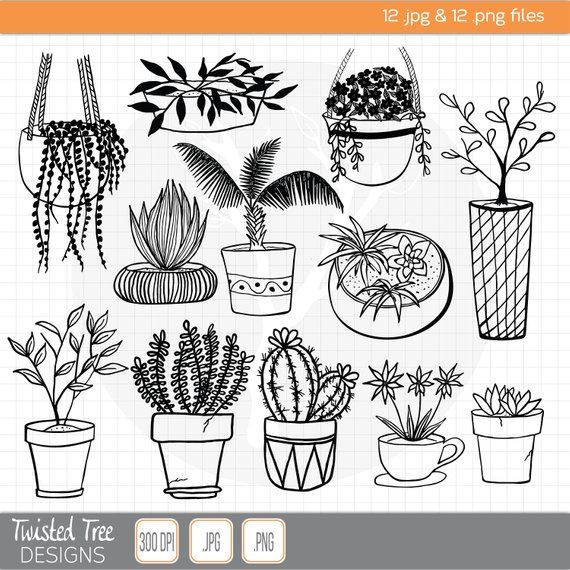 plants clipart doodle