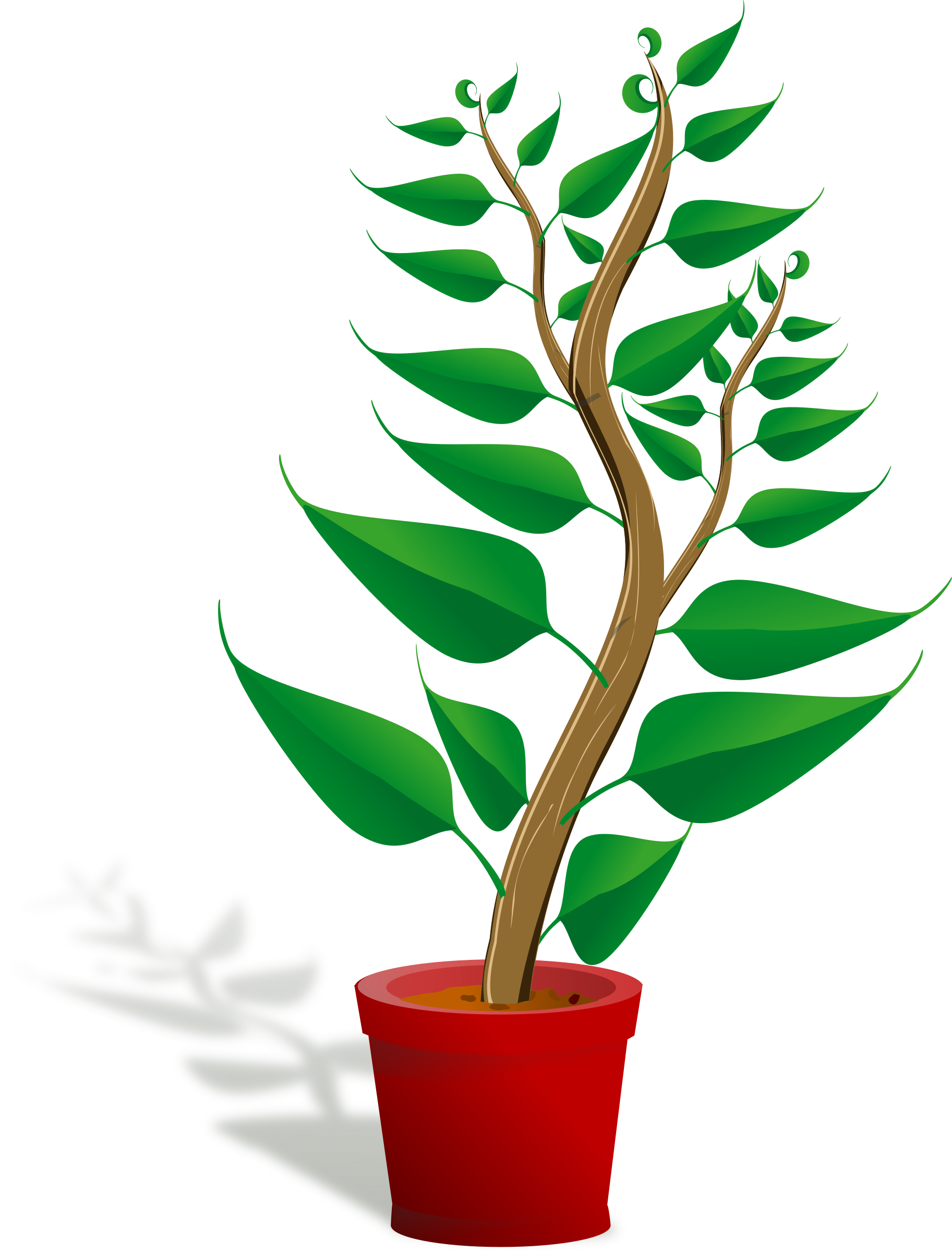 Tall in its pot. Plants clipart green plant