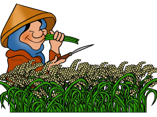 plants clipart palay