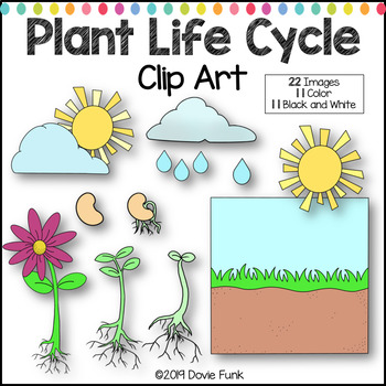 plants clipart plant life
