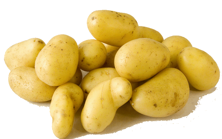 plants clipart potatoe