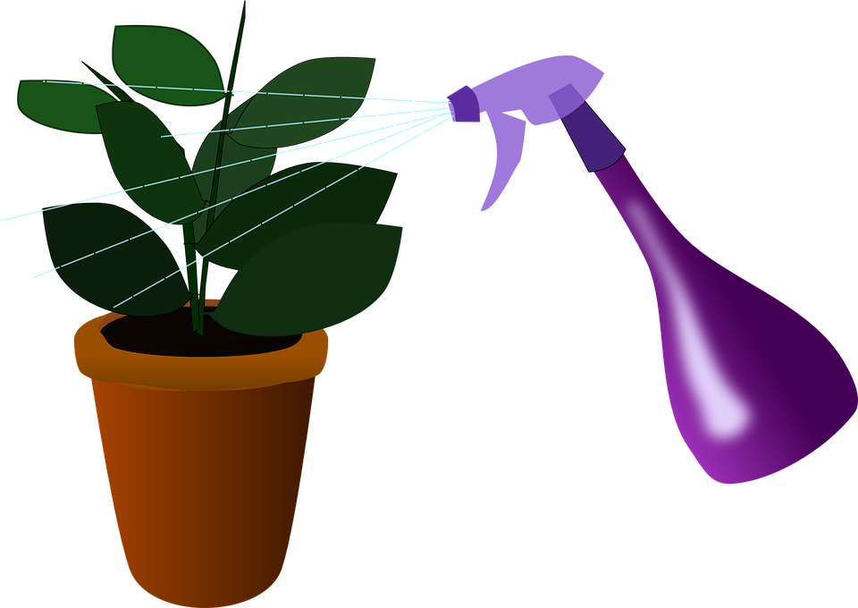plants clipart snake plant