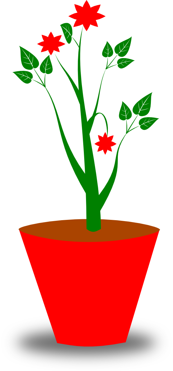 plants clipart vase