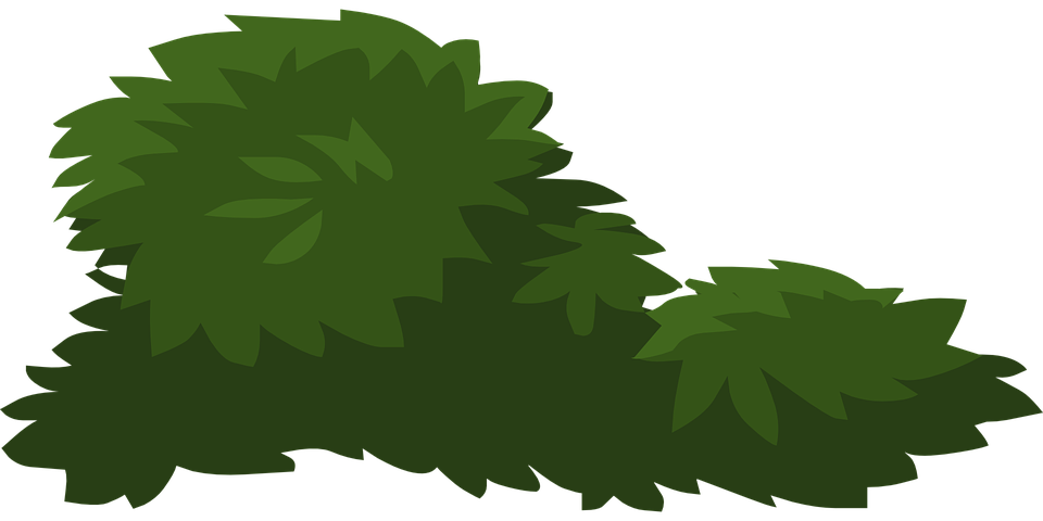 Plants clipart vector. Jungle cliparts shop of