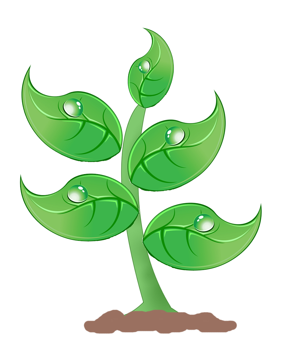 Seedling clipart planting seed. Free large plant cliparts
