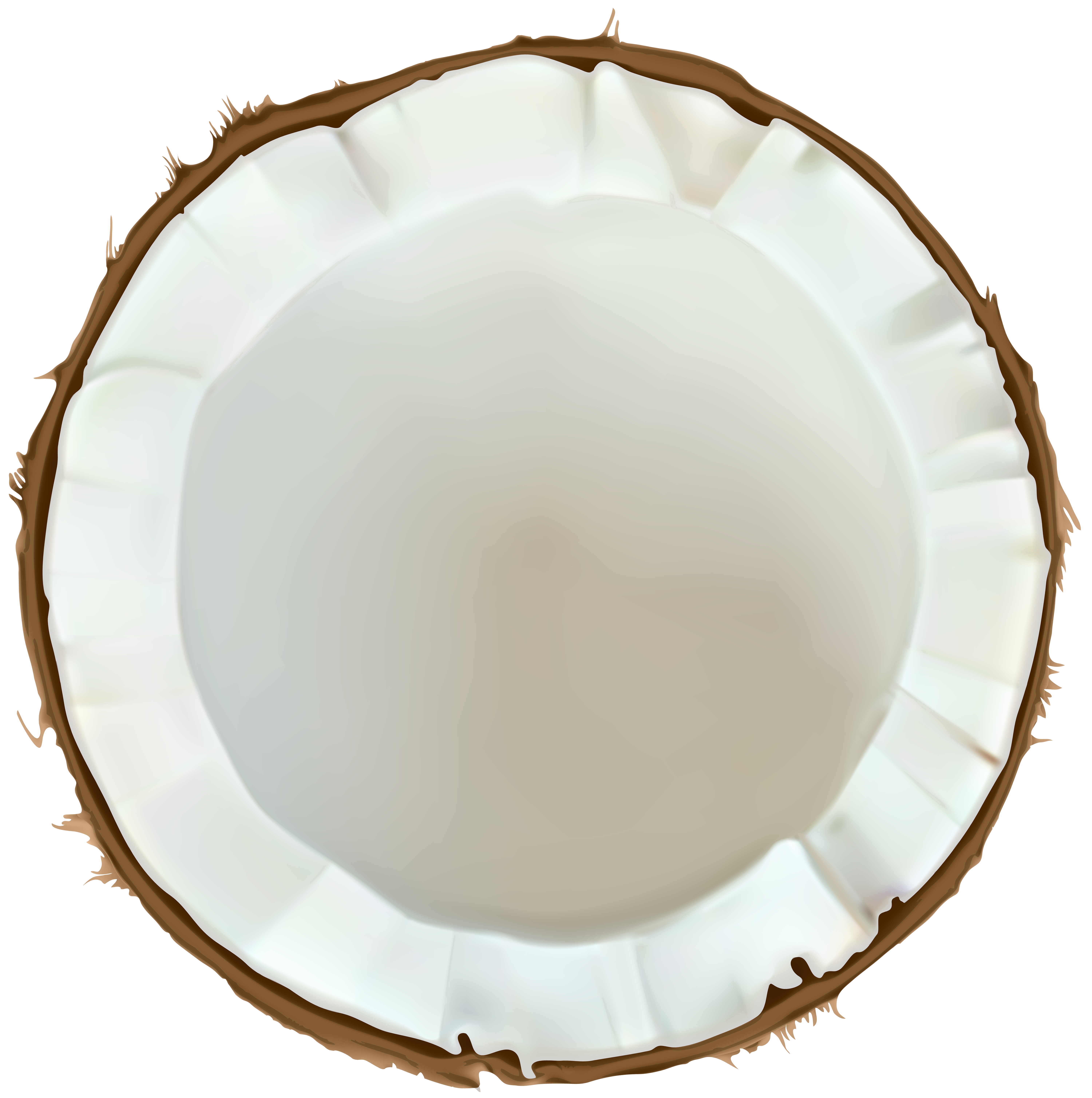 plate clipart saucer