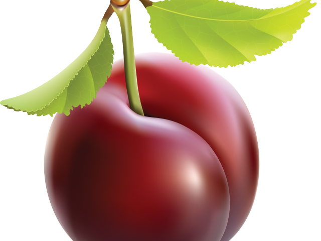 plum clipart black and white