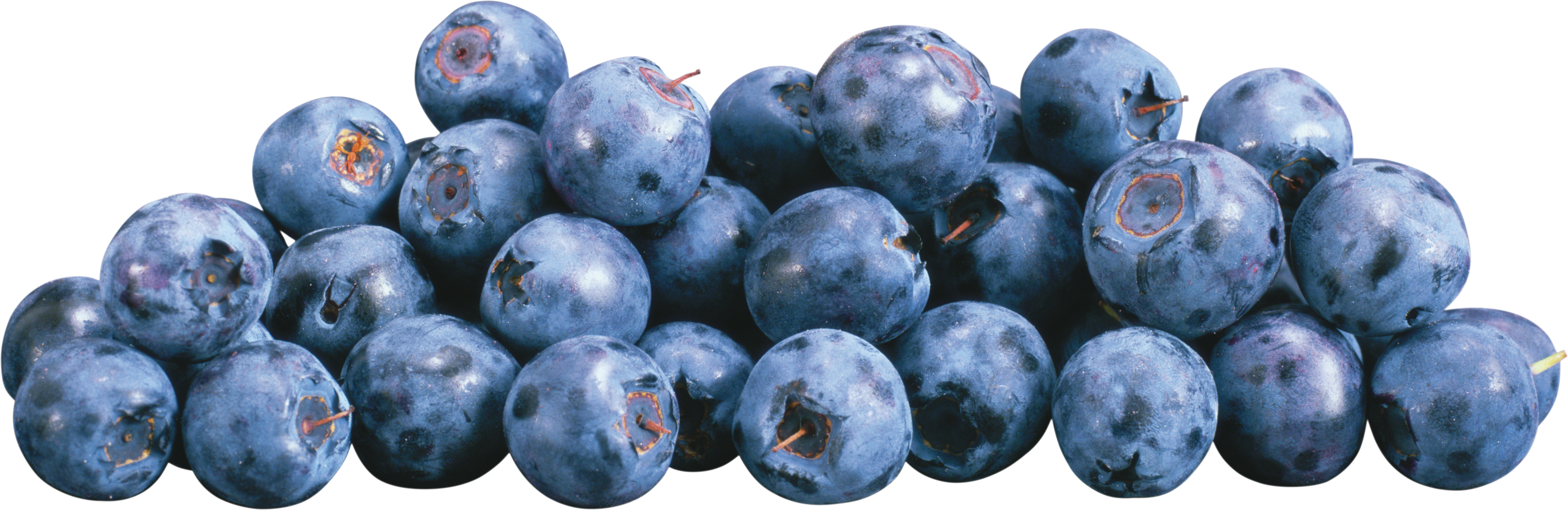 Blueberrys png image purepng. Plum clipart damson
