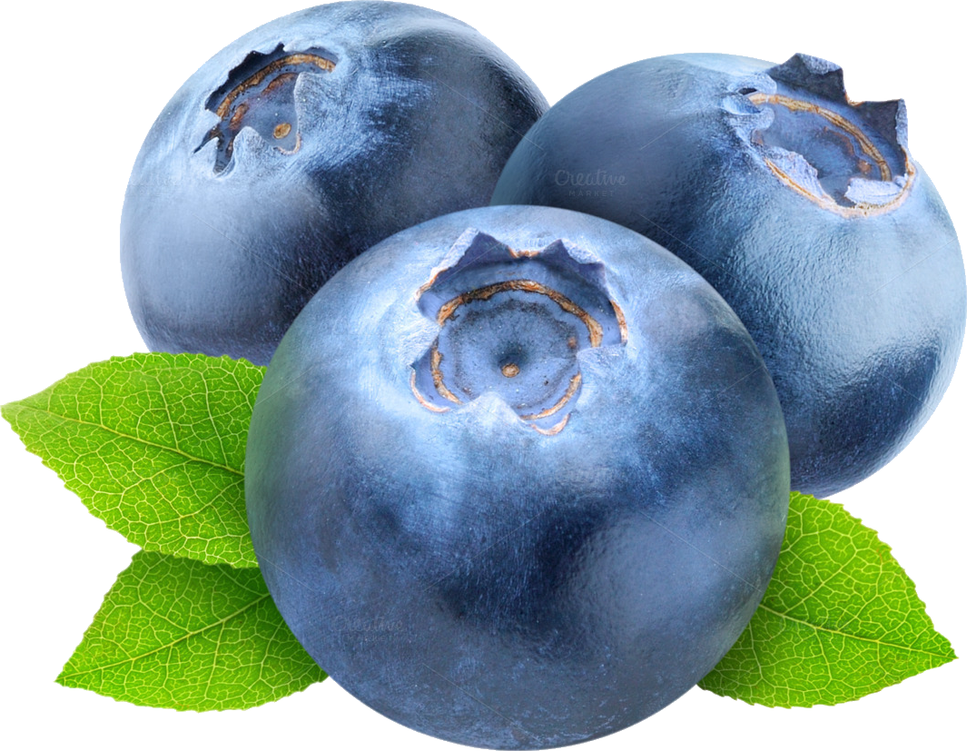 Blueberries png image purepng. Plum clipart damson