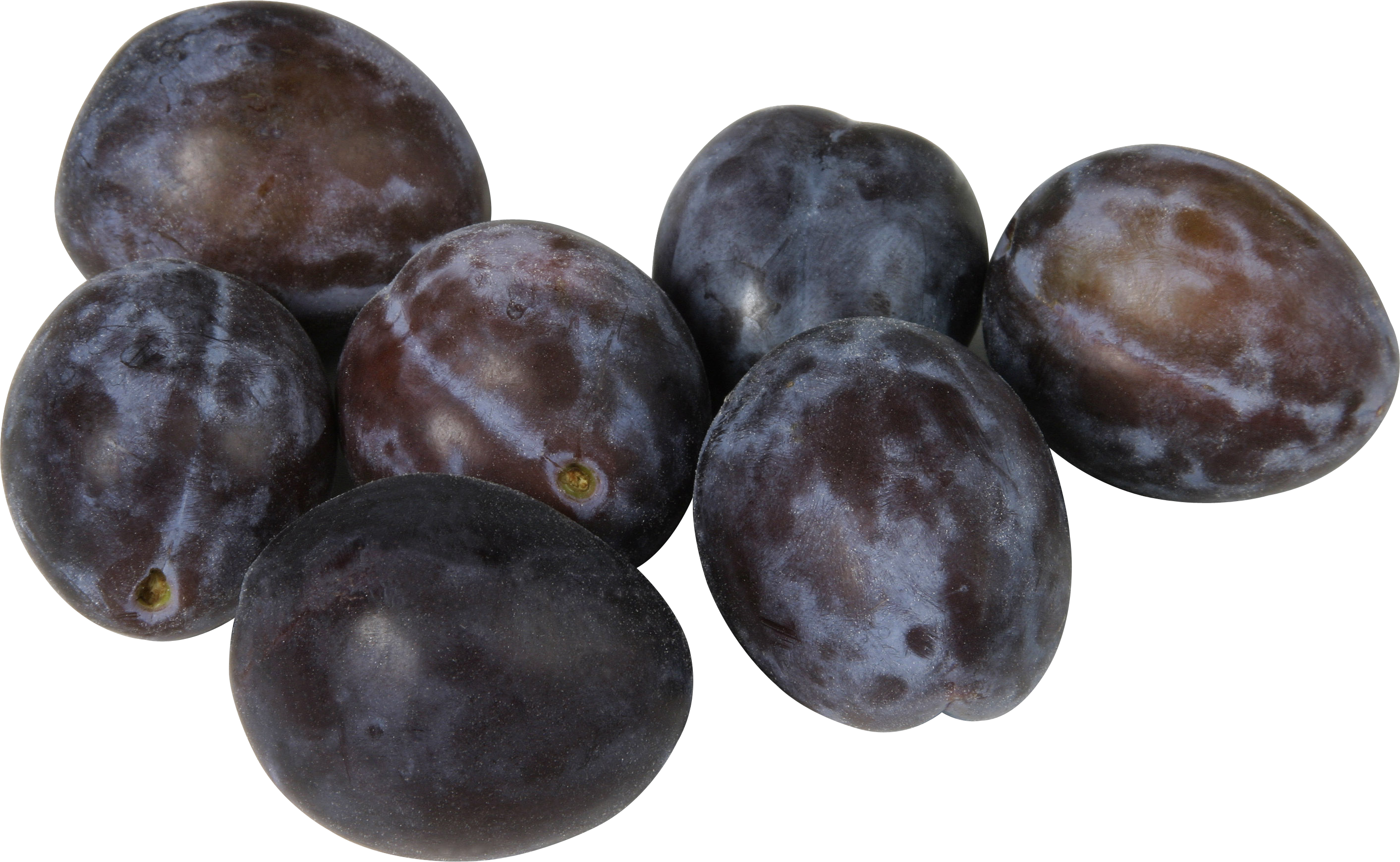 Plum clipart damson. Png images free download
