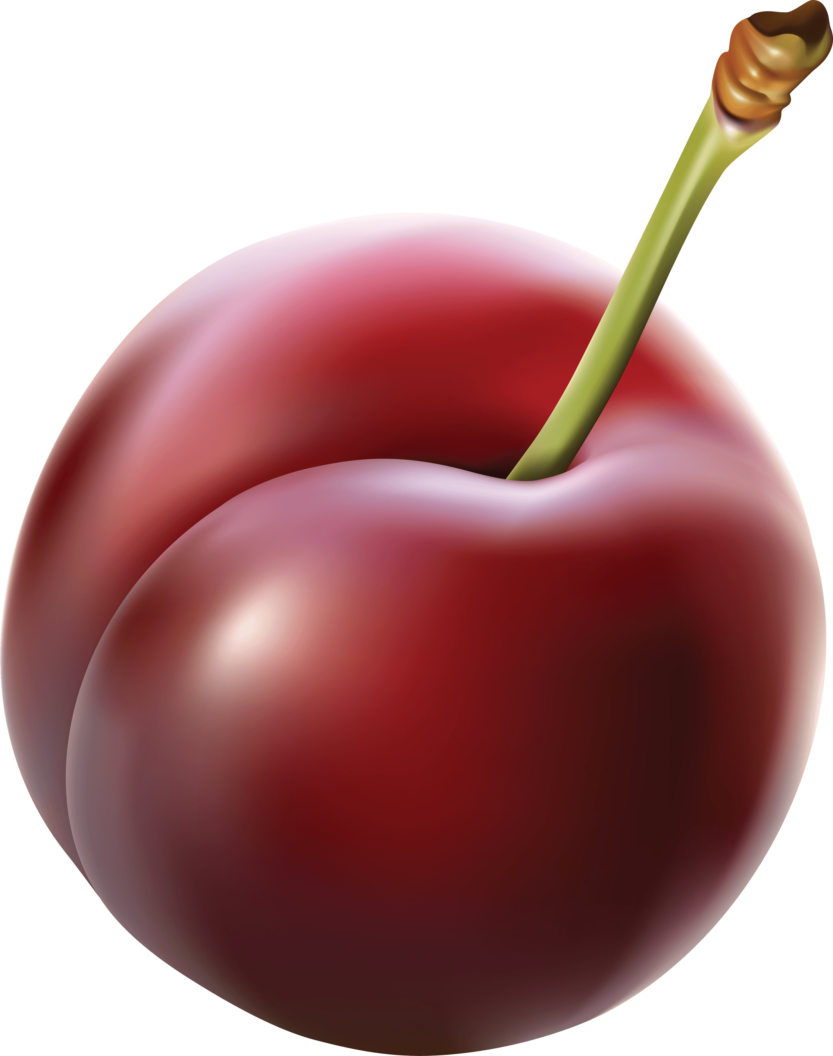 Plum clipart damson. Png images transparent free