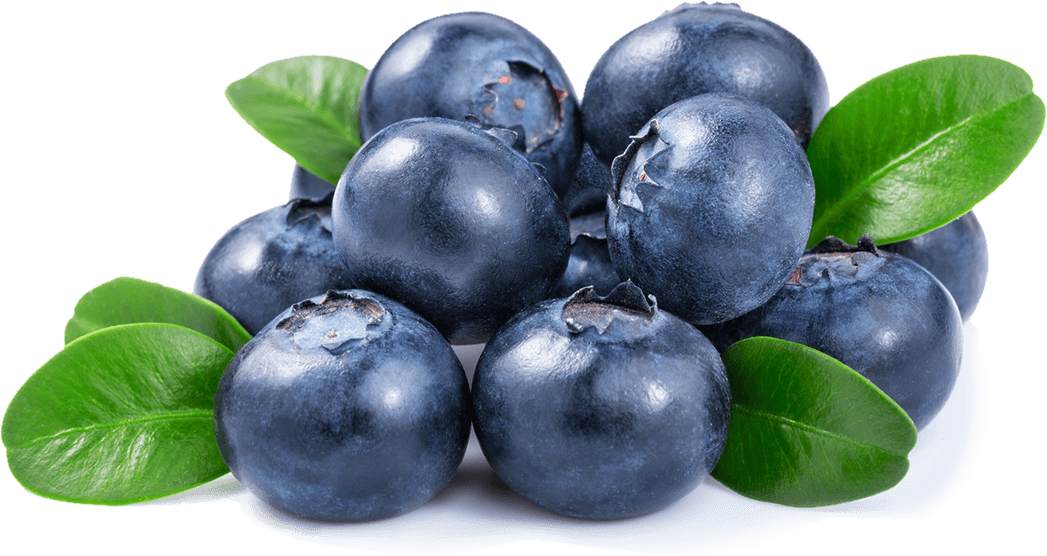 plum clipart damson