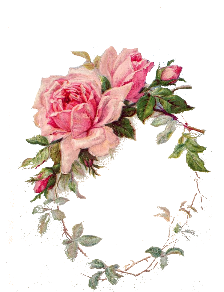 Plum clipart floral. Vintage rose frame r
