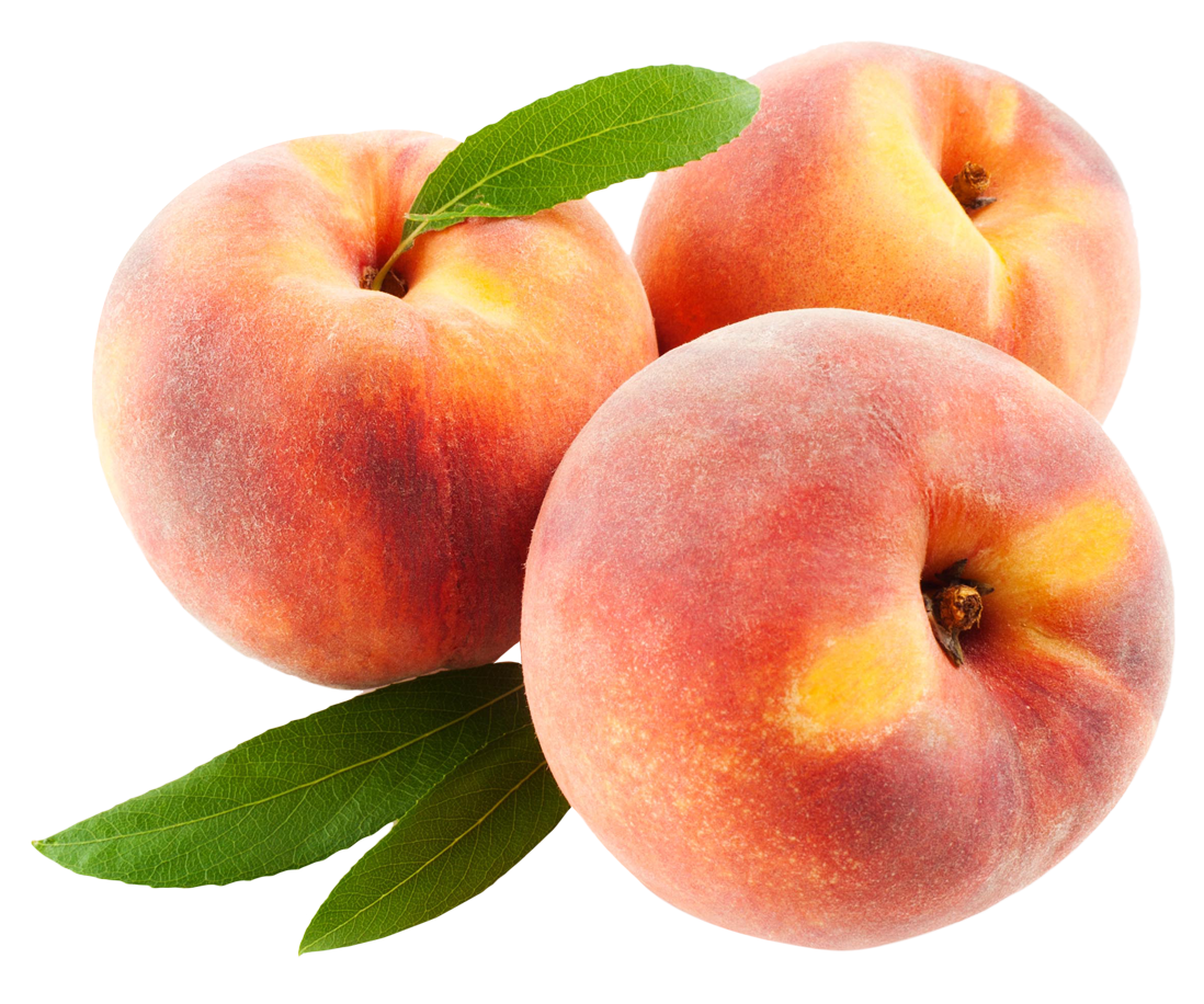Plum clipart nectarine. Peach fruits with leaf
