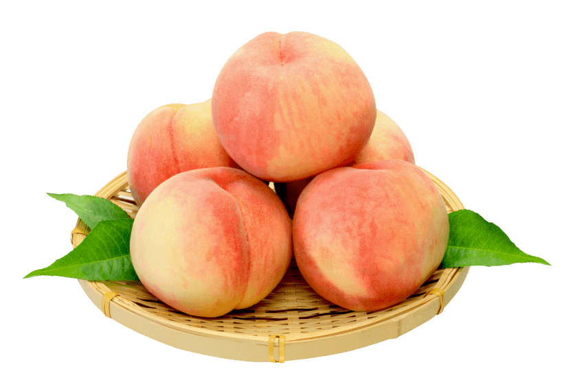 plum clipart nectarine