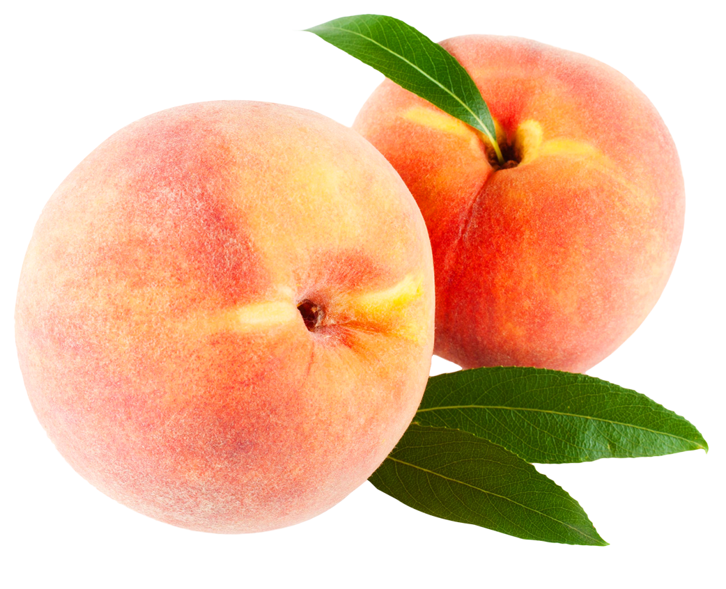 Peach fruits with leaf. Plum clipart nectarine