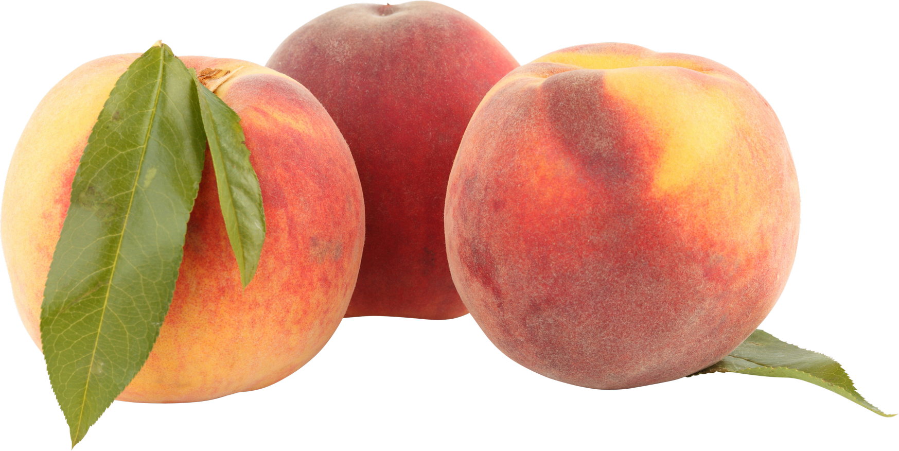 Peach png image purepng. Plum clipart nectarine