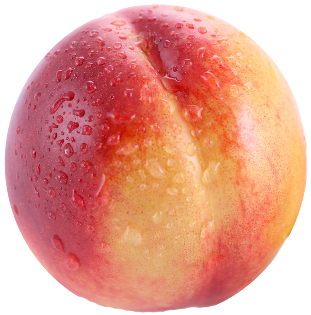 Transparent png picture gallery. Plum clipart nectarine