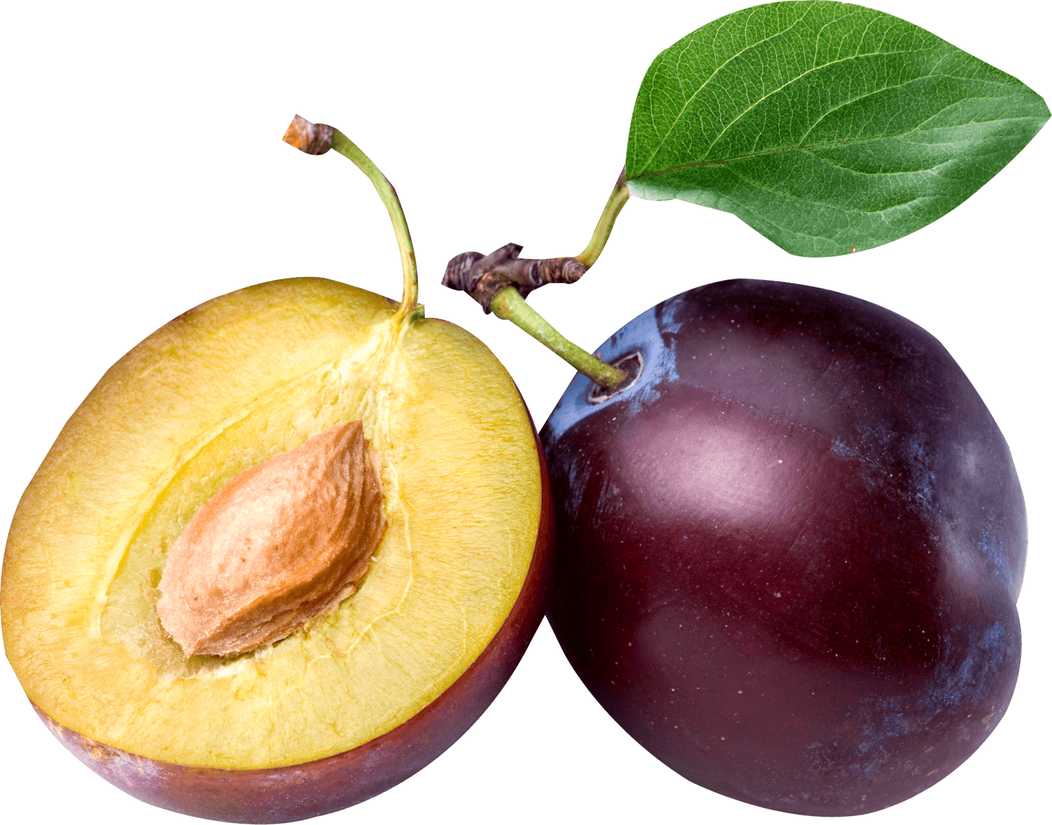 plum clipart plum fruit