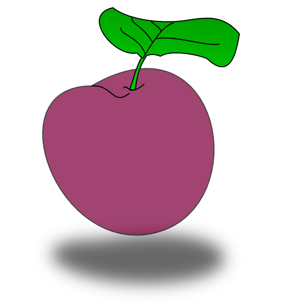 Plum plum fruit