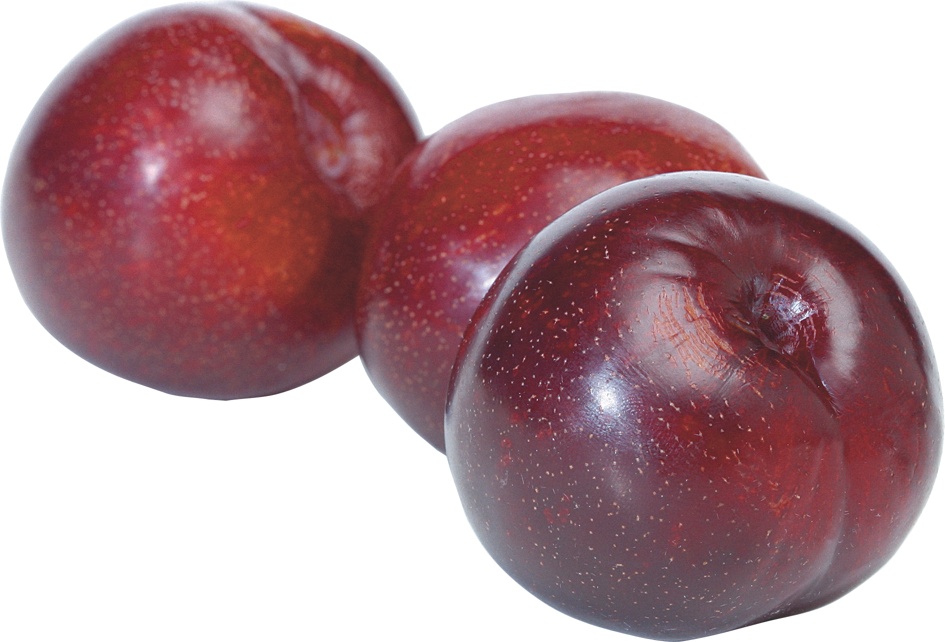 plum clipart prunes