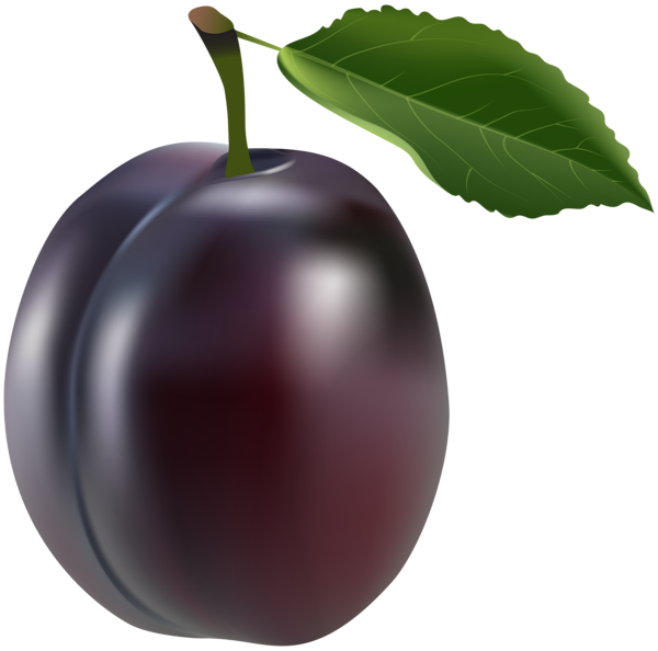 prunes tree download
