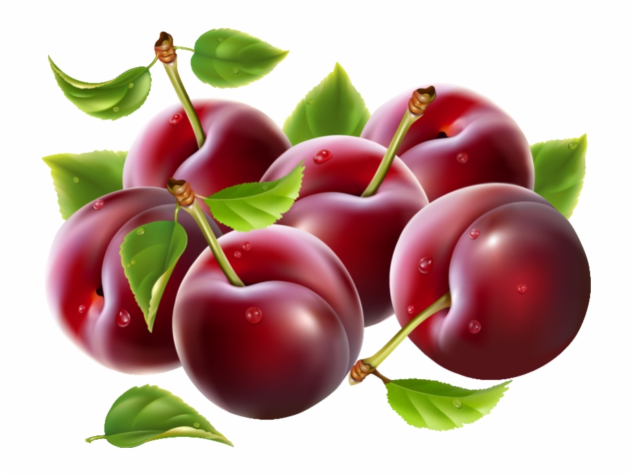 prunes tree download free