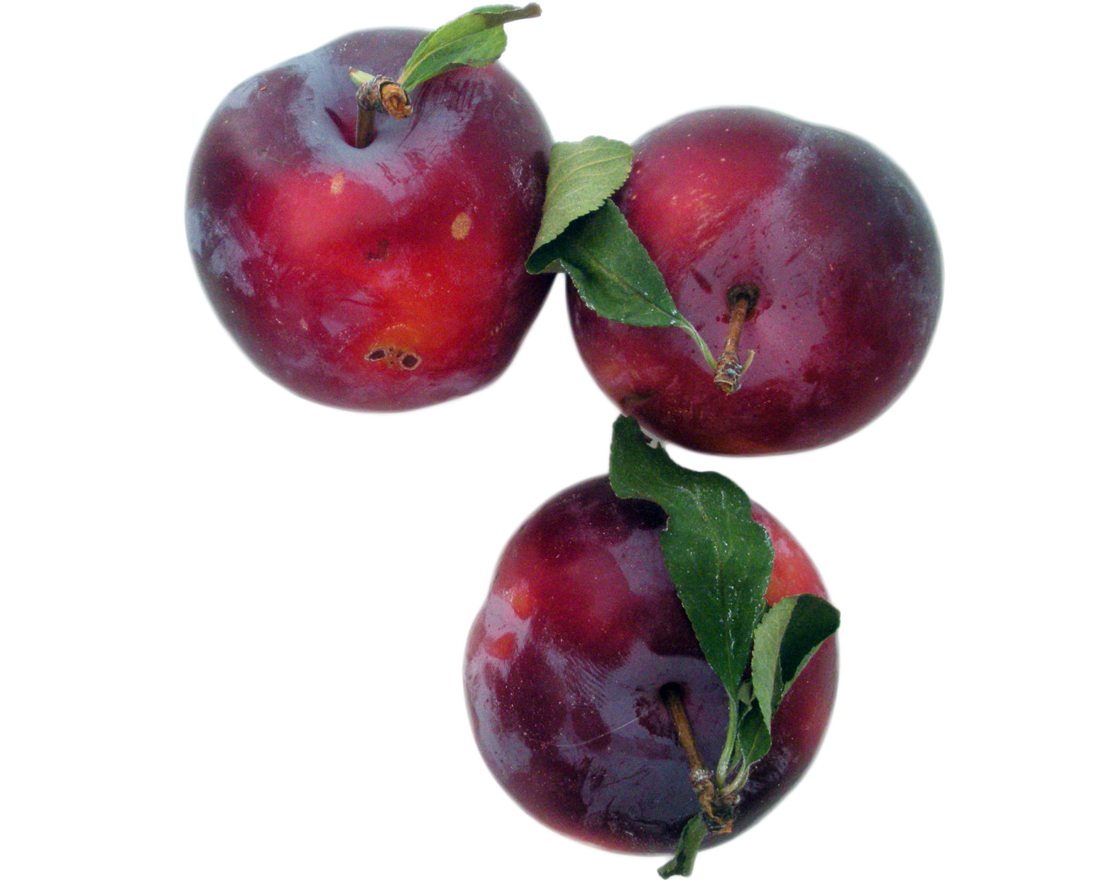 plum clipart purple food