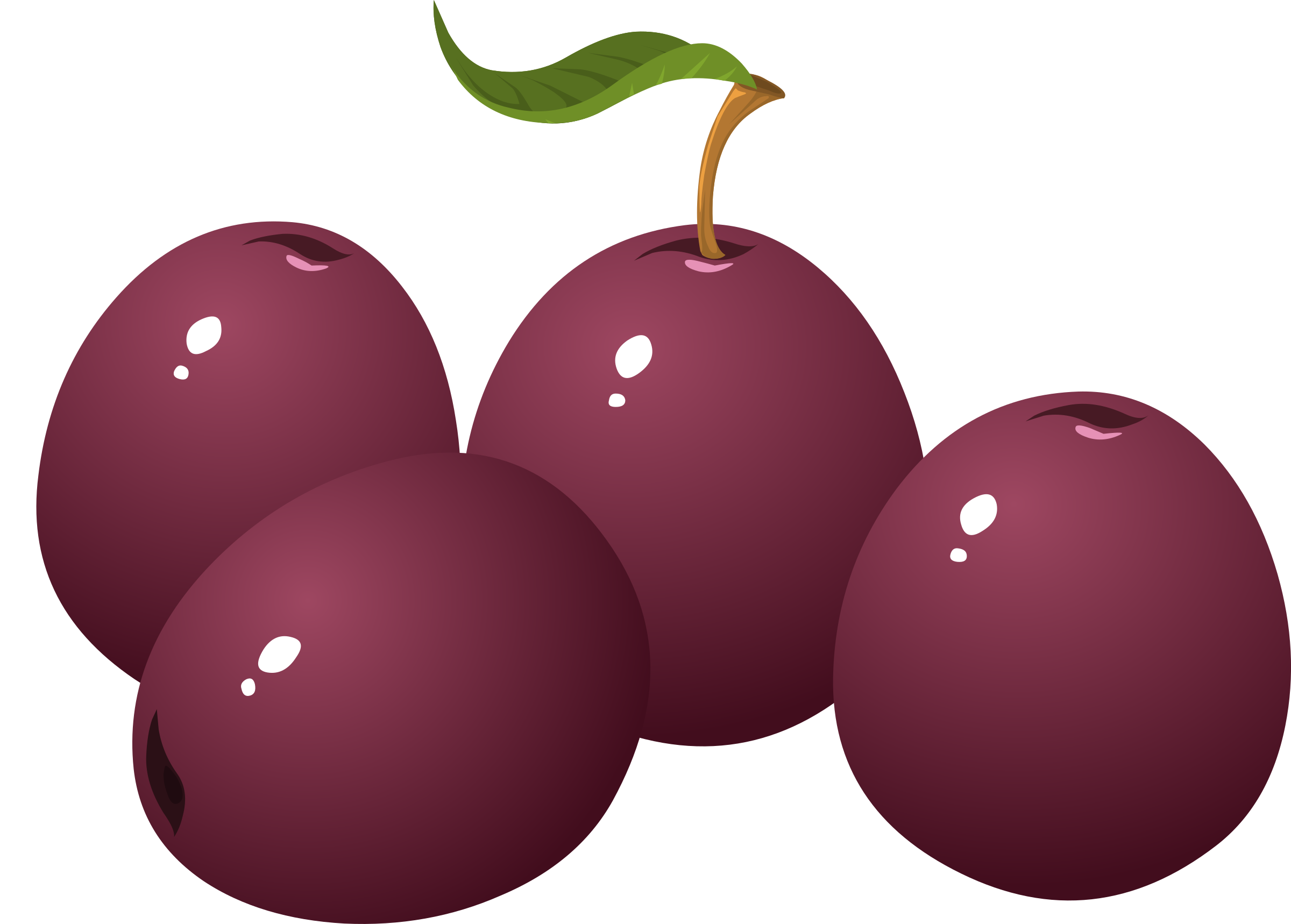 Food icons png free. Plum clipart real