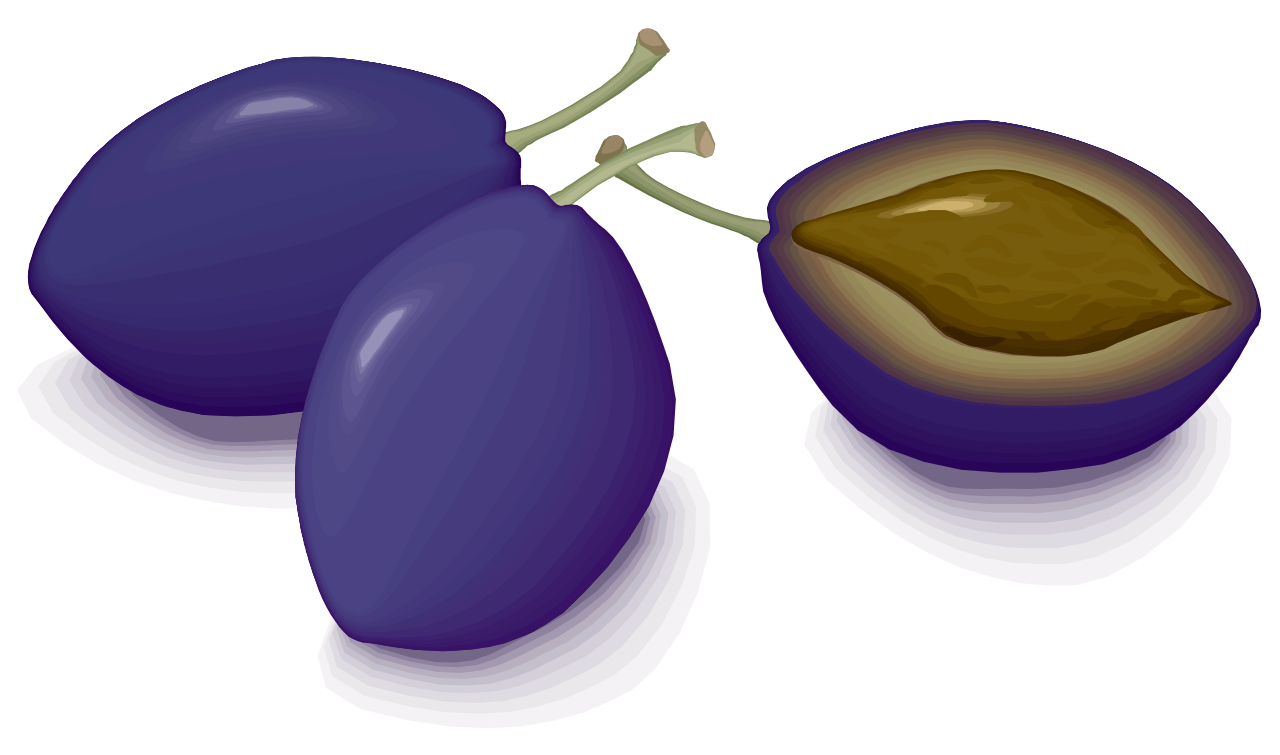 Plum clipart real. File plums svg wikimedia