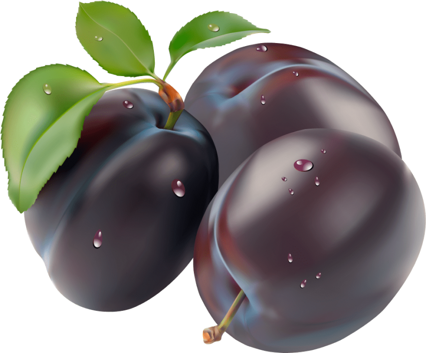 Plum clipart real. Png free images toppng