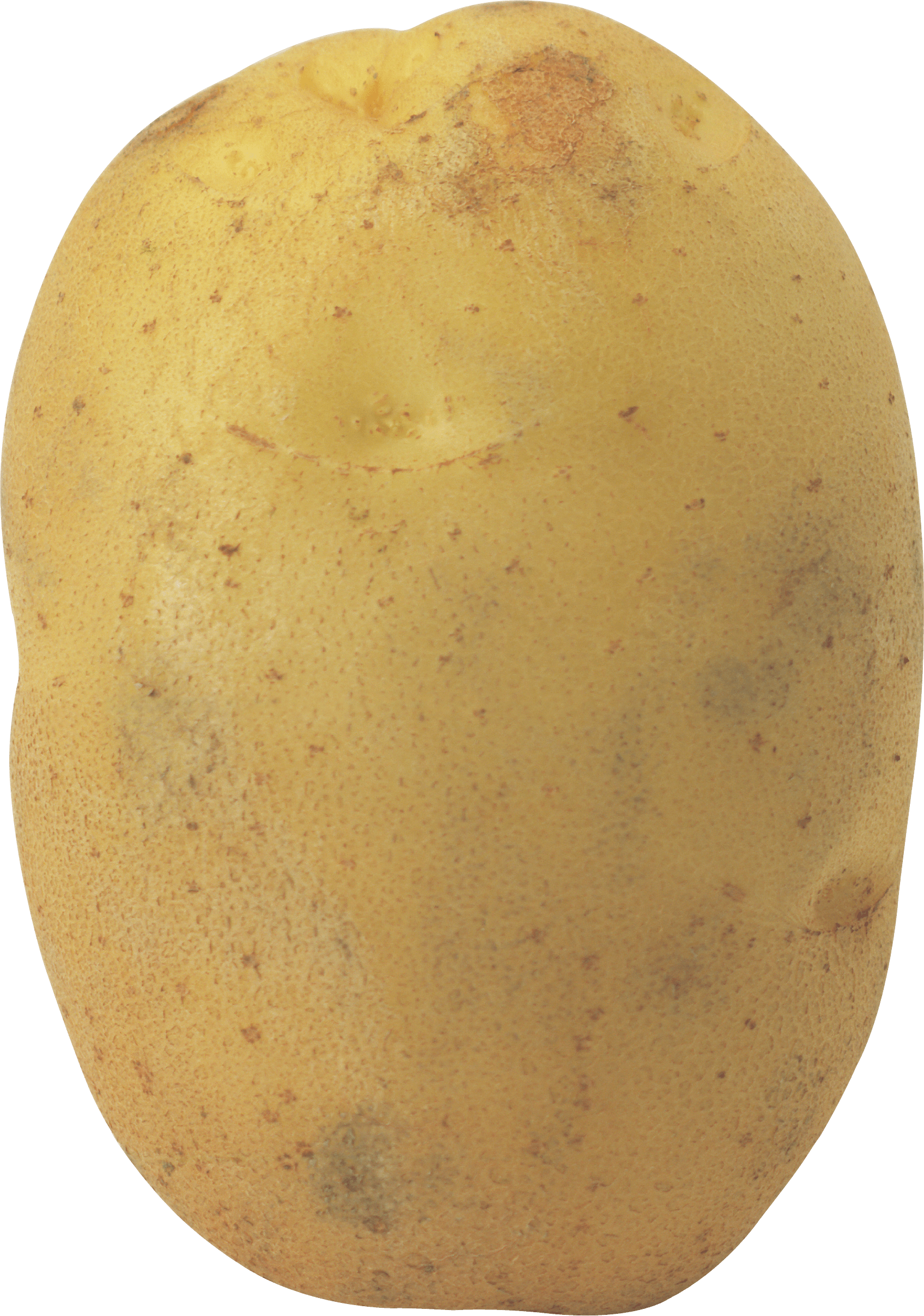 Potato clipart high resolution.  stickers png single