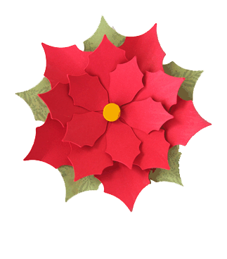 poinsettia clipart 3d flower
