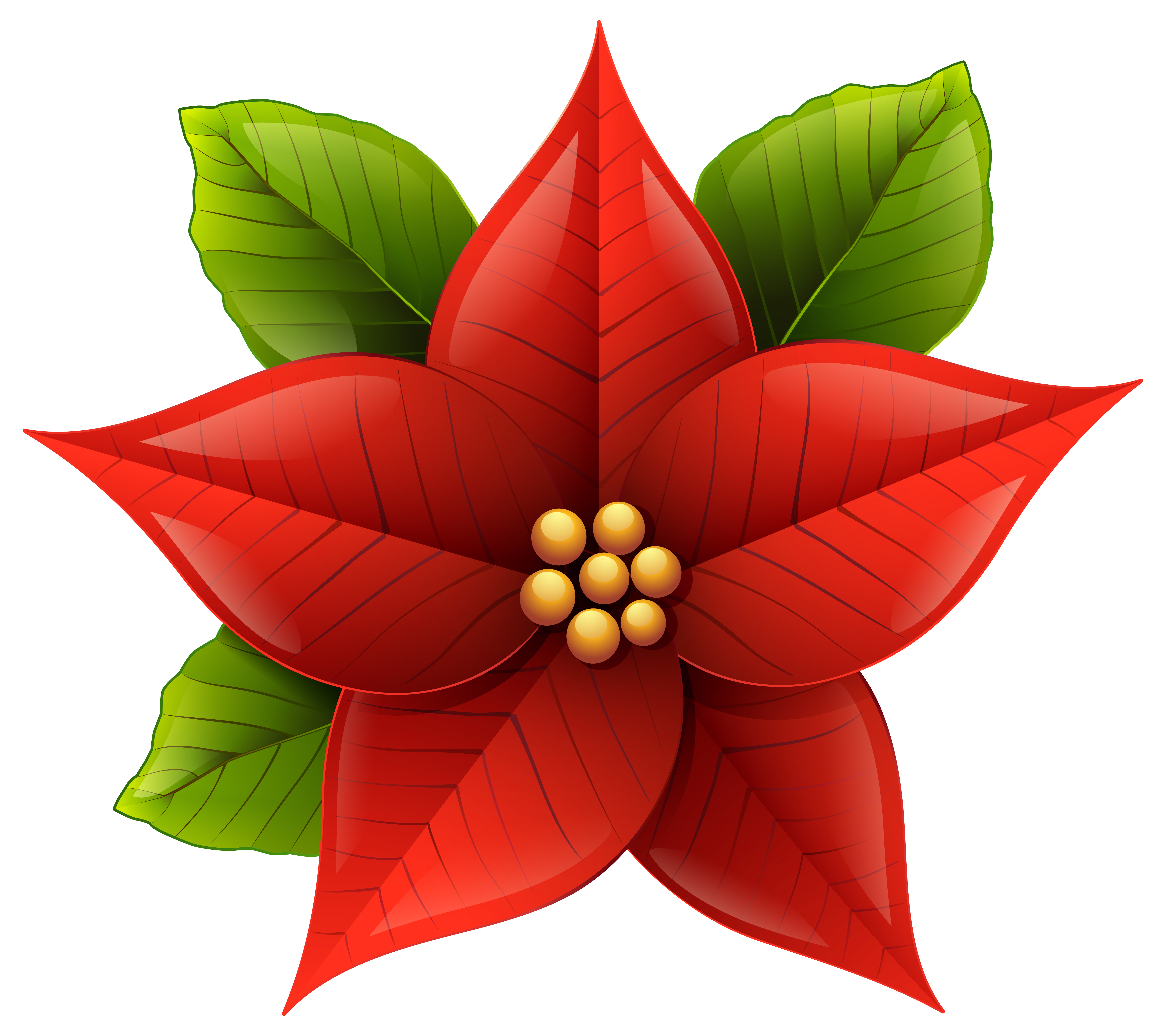 Christmas flower png. Free poinsettia cliparts download