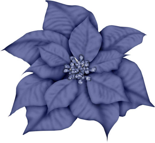 Poinsettias clipart blue. Photo from album scrapkit
