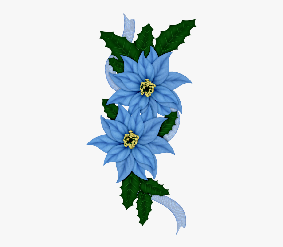 Poinsettias clipart blue. Vintage clip art flower