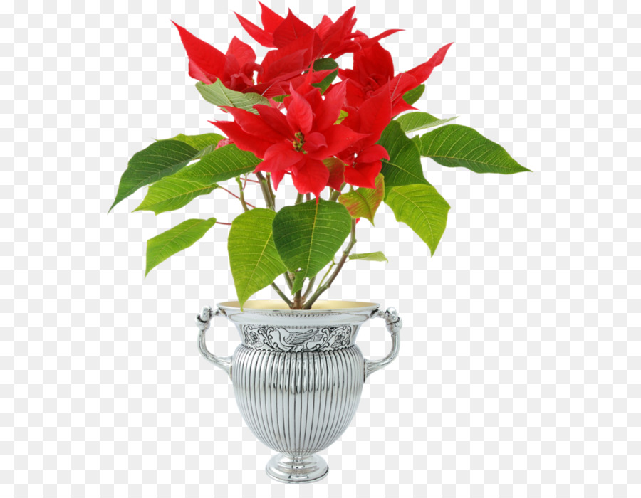poinsettia clipart flower vase