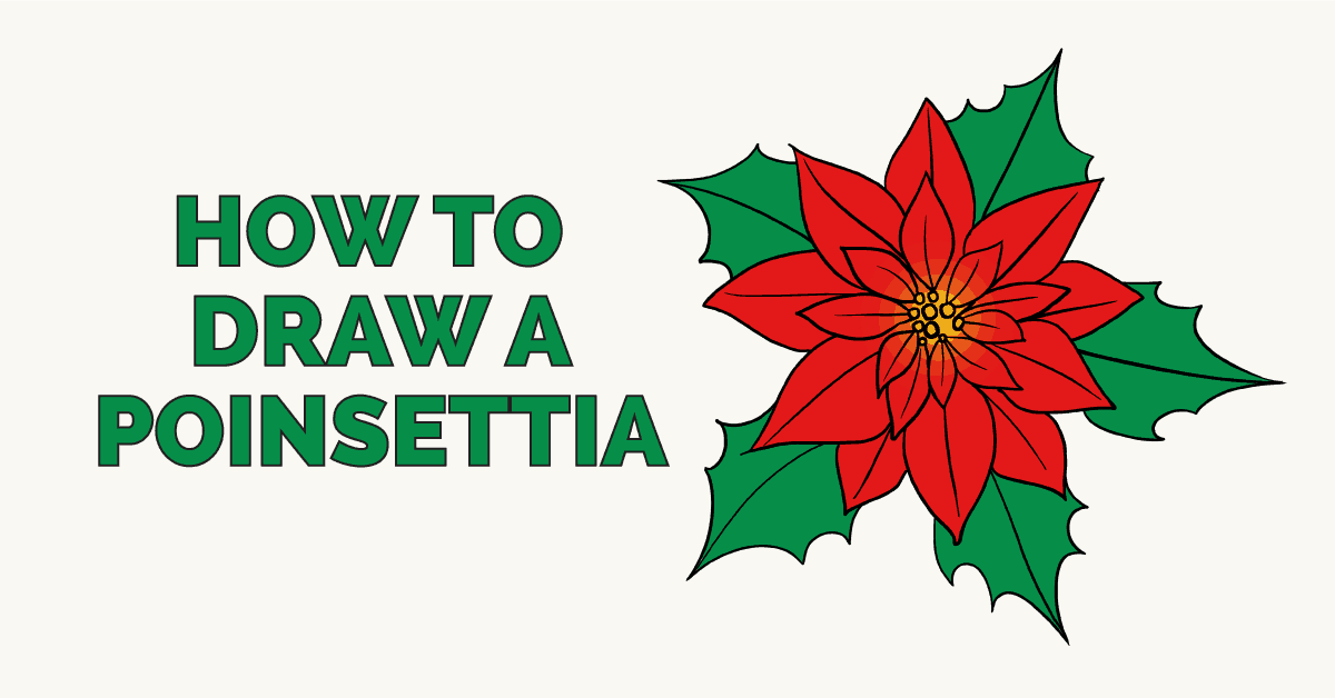 How to draw a. Poinsettia clipart kid